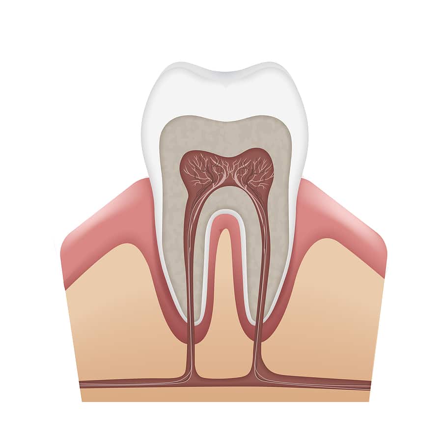 Understanding root canals helps you recognize the signs, learn the procedure, and see how it relieves pain and saves your tooth.